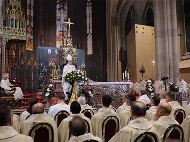 /aktualnosti/2026/A/260211 Misa zahvalnica - NUNCIJ LINGUA (27).JPG