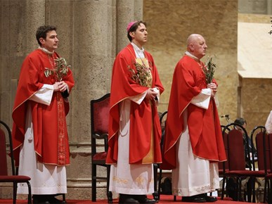 /aktualnosti/2026/B/Nadbiskup Kutleša predvodio misno slavlje Nedjelje Muke Gospodnje u Zagrebačkoj katedrali (21).JPG